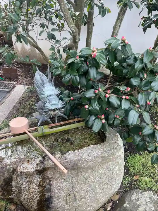 智禅寺(兵庫県)