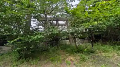 港住吉神社（住吉大社境外末社）の鳥居