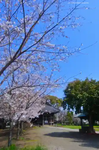 川和八幡神社(神奈川県)