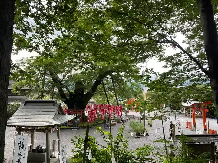 秩父今宮神社(埼玉県)