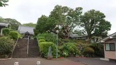 蓮着寺のその他建物