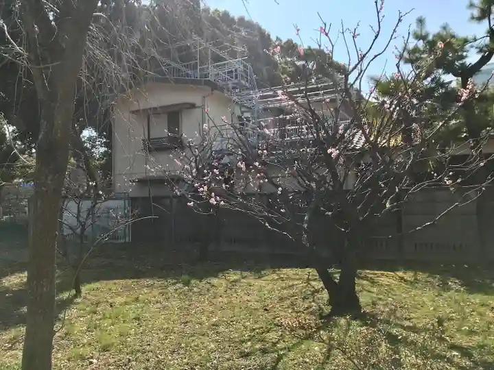 芝東照宮の庭園