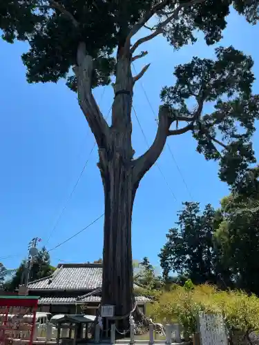 矢奈比賣神社（見付天神）(静岡県)
