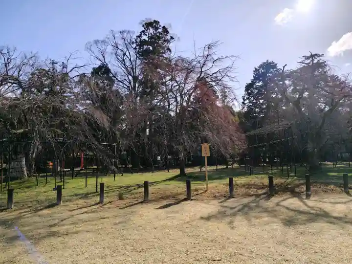 賀茂別雷神社(上賀茂神社)の{uncategorized: "未分類", other: "その他", undefined: "問題あり", building: "その他建物", grave: "お墓", sacred_gate: "鳥居", guardian: "狛犬", statue: "像", buddha: "仏像", history: "歴史", nature: "自然", garden: "庭園", animal: "動物", pagoda: "塔", temizu: "手水舎", mountain_gate: "山門・神門", sanctuary: "本殿・本堂", subordinate: "末社・摂社", art: "芸術", scenery: "景色", jizo: "地蔵", ema: "絵馬", goshuin: "御朱印", omikuji: "おみくじ", items: "授与品その他", amulet: "お守り", goshuincho: "御朱印帳", eats: "食事", festival: "お祭り", votive_dance: "神楽", shichigosan: "七五三参", wedding: "結婚式", experience: "体験その他", initially: "初詣", around: "周辺", anti_infection: "感染症対策"}