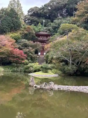 浄瑠璃寺(京都府)