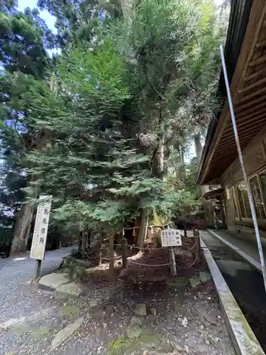砥鹿神社（奥宮）(愛知県)