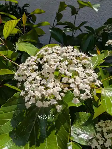 本覺寺(神奈川県)