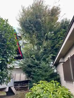 中田出世稲荷神社(東京都)