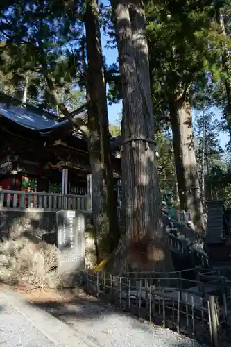 三峯神社の自然