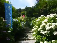 鷲子山上神社の自然