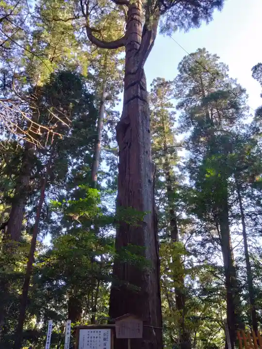 高千穂神社(宮崎県)