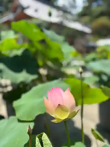 中山寺(兵庫県)