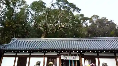 五社神社のその他建物