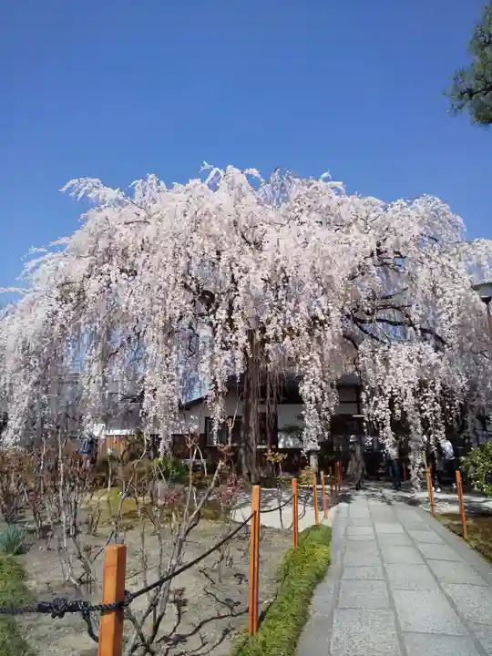 本満寺(本願満足寺)(京都府)