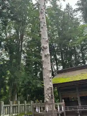 諏訪大社下社春宮(長野県)