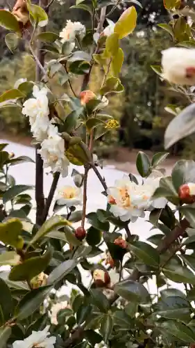 霧島神宮の{uncategorized: "未分類", other: "その他", undefined: "問題あり", building: "その他建物", grave: "お墓", sacred_gate: "鳥居", guardian: "狛犬", statue: "像", buddha: "仏像", history: "歴史", nature: "自然", garden: "庭園", animal: "動物", pagoda: "塔", temizu: "手水舎", mountain_gate: "山門・神門", sanctuary: "本殿・本堂", subordinate: "末社・摂社", art: "芸術", scenery: "景色", jizo: "地蔵", ema: "絵馬", goshuin: "御朱印", omikuji: "おみくじ", items: "授与品その他", amulet: "お守り", goshuincho: "御朱印帳", eats: "食事", festival: "お祭り", votive_dance: "神楽", shichigosan: "七五三参", wedding: "結婚式", experience: "体験その他", initially: "初詣", around: "周辺", anti_infection: "感染症対策"}