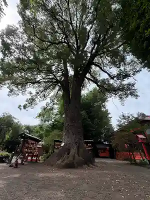 冠稲荷神社(群馬県)