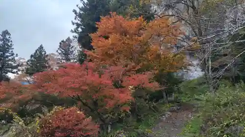 橋立堂(埼玉県)