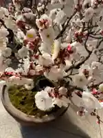 湯島天満宮のその他建物