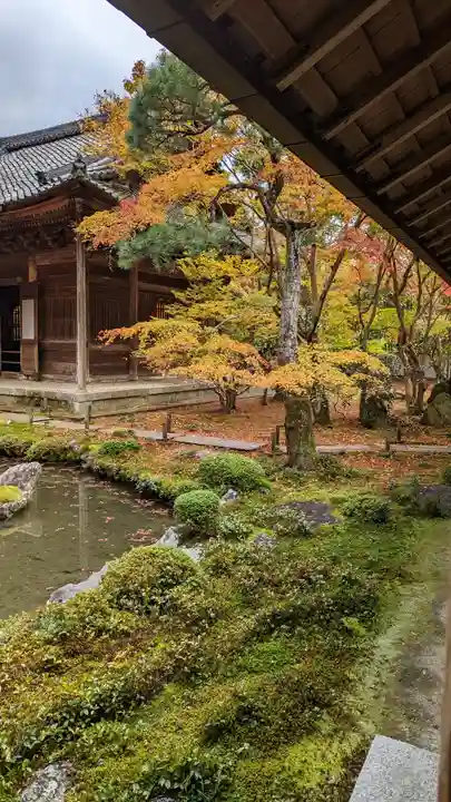 蓮華寺(洛北蓮華寺)(京都府)