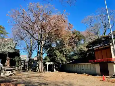 丸子山王日枝神社(神奈川県)