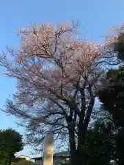 塩谷寺(神奈川県)