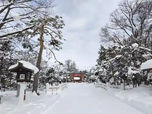 北海道護國神社の景色