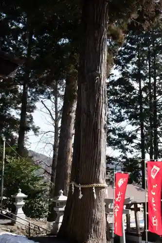 高司神社〜むすびの神の鎮まる社〜(福島県)