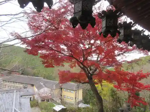 南法華寺（壷阪寺）(奈良県)