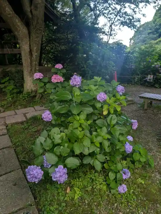 瑞泉寺(神奈川県)