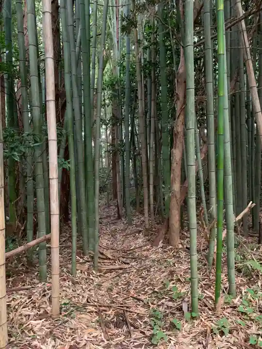 稲荷神社・疱瘡神社(千葉県)