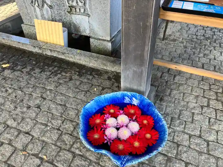 川越八幡宮(埼玉県)