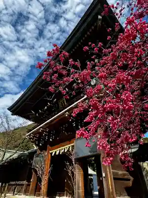 宮地嶽神社(福岡県)