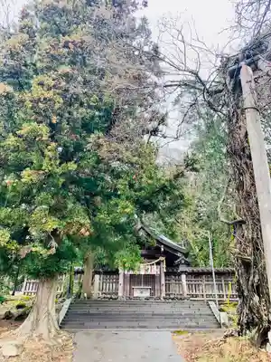 諏訪大社上社前宮(長野県)