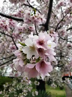 福蔵院(東京都)