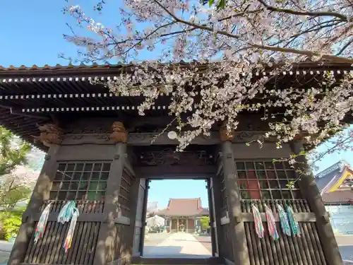 如宝寺の山門