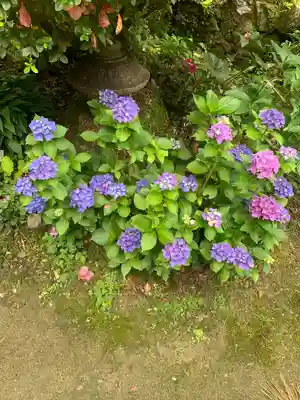 高原寺(兵庫県)