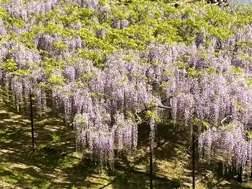 天台宗 五大山 白毫寺(兵庫県)