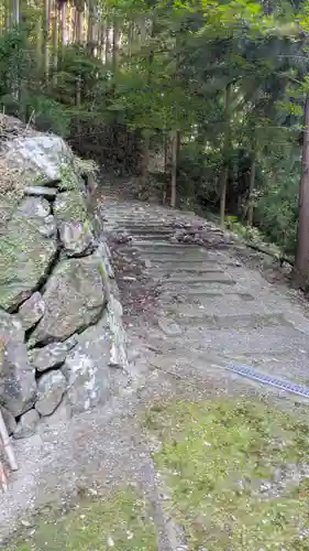 三鈷寺(京都府)