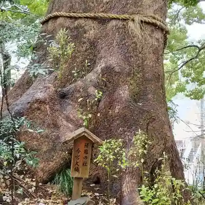今宮神社(静岡県)