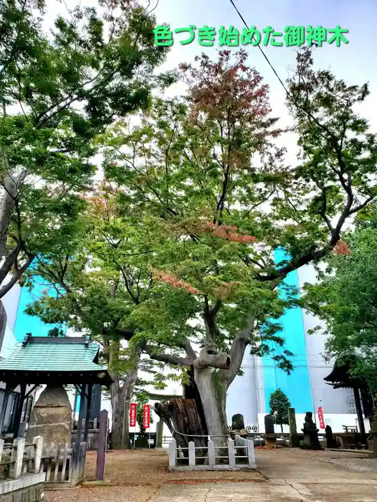 阿邪訶根神社(福島県)