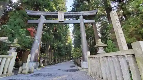 北口本宮冨士浅間神社の鳥居