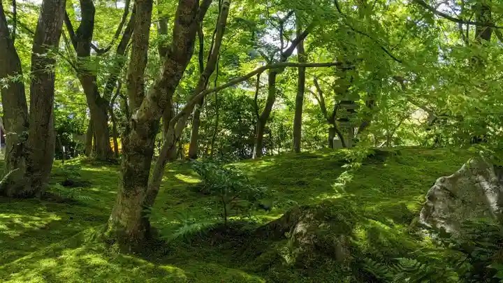 禅林寺(永観堂)(京都府)