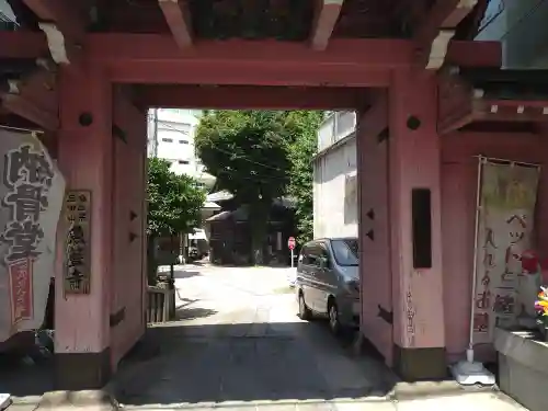 魚籃寺の山門