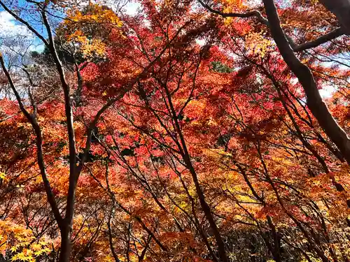箸蔵寺(徳島県)