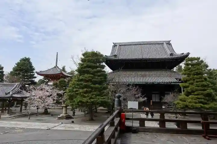 知恩院(京都府)