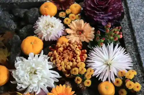 滑川神社 - 仕事と子どもの守り神の手水舎