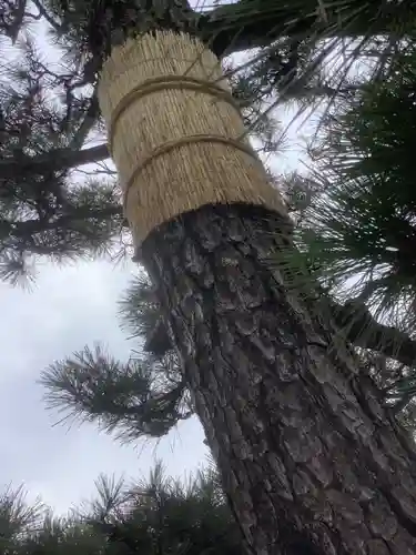田縣神社の自然