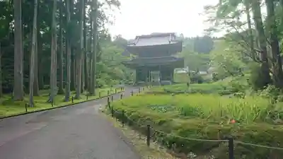 林泉寺の山門・神門