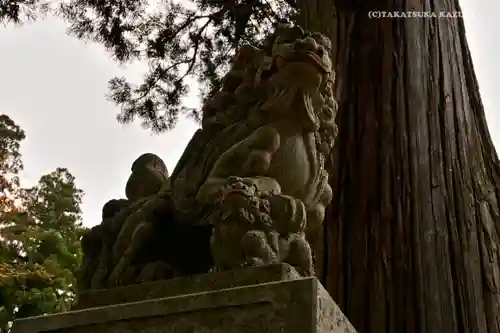 戸隠神社中社の狛犬